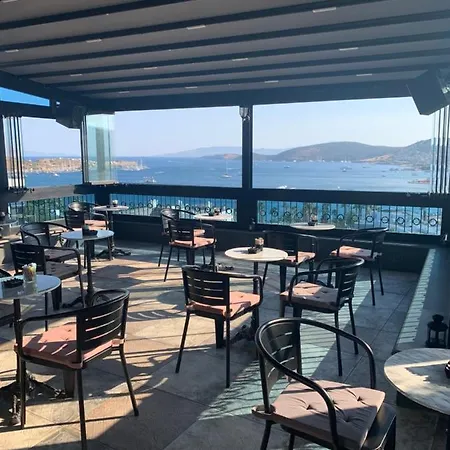 Art & Interiors 酒店 博德鲁姆