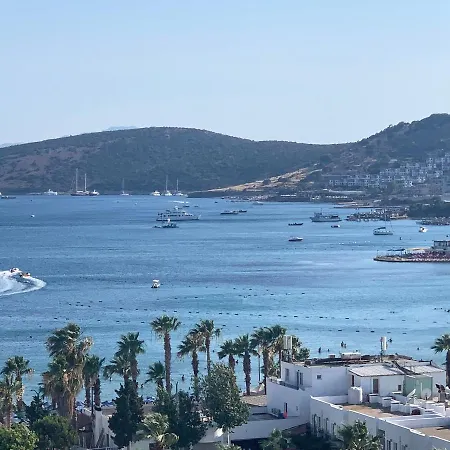 Art & Interiors فندق