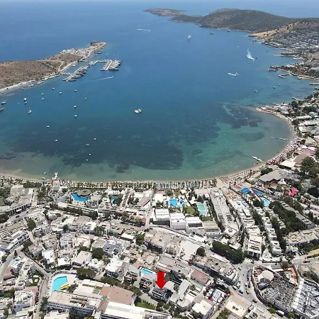 Art & Interiors 酒店 2*