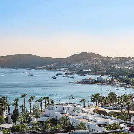 Art & Interiors 酒店 2*